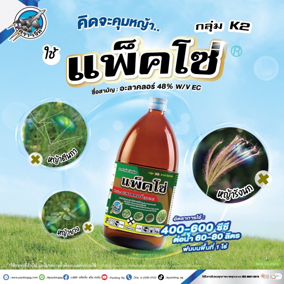 แพ็คโซ่