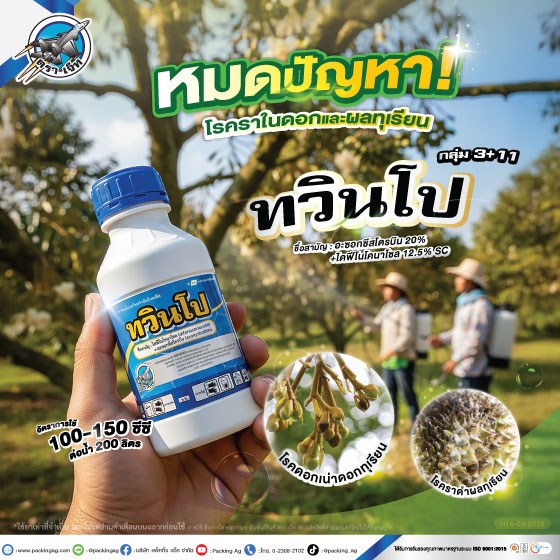 ทวินโปร