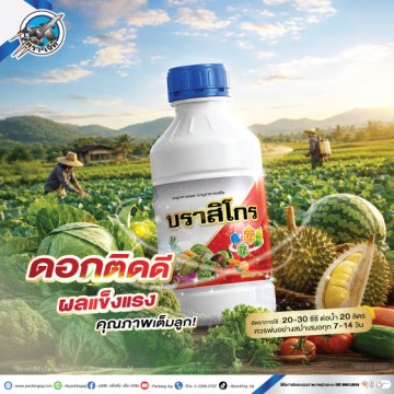 7Ad-PA-บราสิโกร-(สินค้าใหม่)-ปี69-web