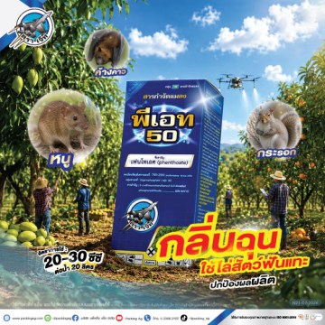 พีเอท 50