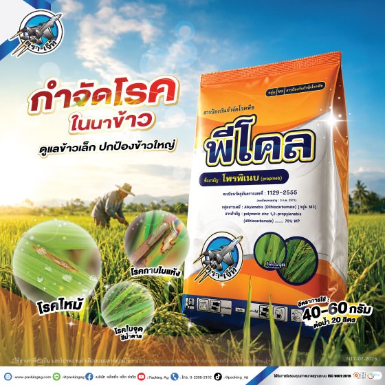 7Ad-PA-พีโคล-(นาข้าว)-ปี69-web