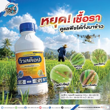 วิวสต๊อป