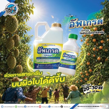 อัพเกรด