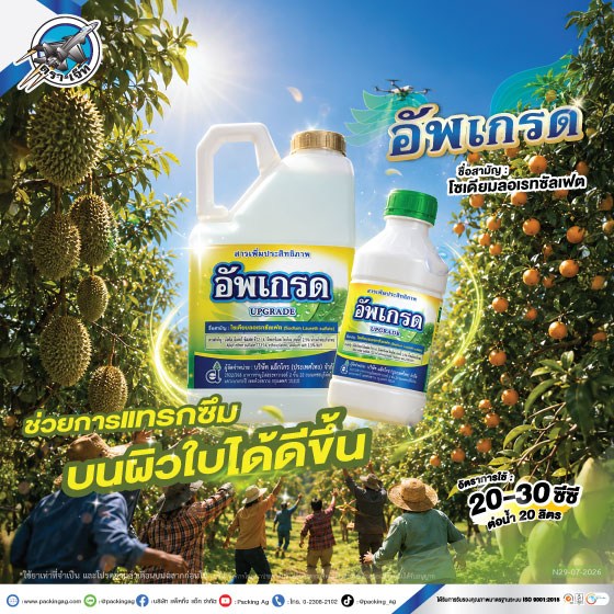 อัพเกรด
