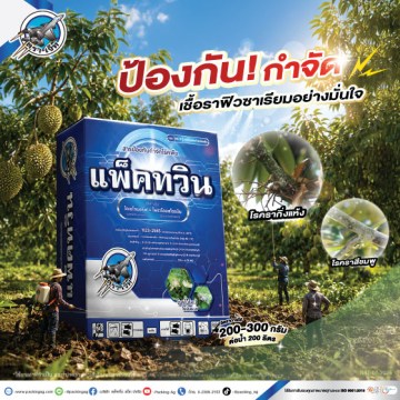 แพ็คทวิน