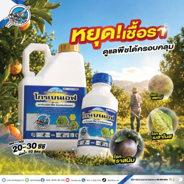 โกรเบนเอฟ